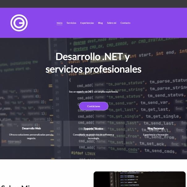 Diseño web profesional para desarrollador .NET con servicios y experiencia destacados.
